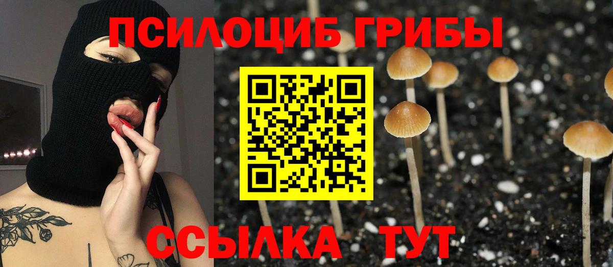 Галлюциногенные грибы GOLDEN TEACHER  Вход с VPN  Изобильный  Галлюциногенные грибы мицелий 